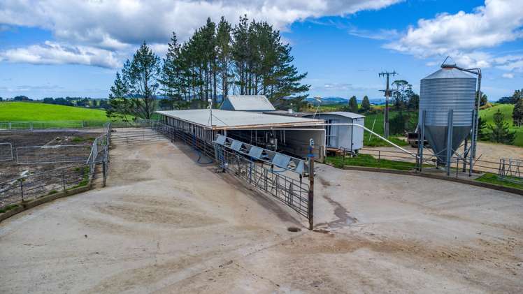 44 Te Rauamoa Road Otorohanga_17