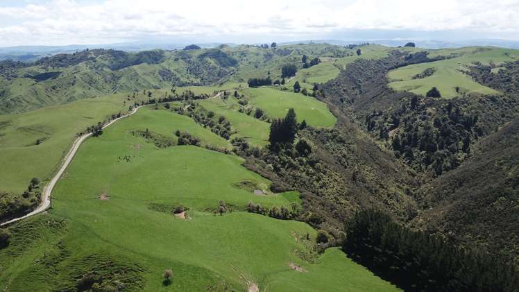 205 Kaweka Road Taihape and Surrounds_6