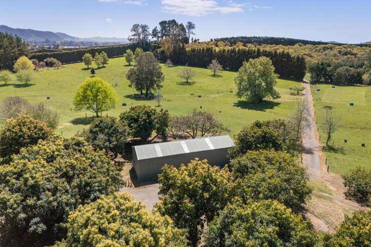 155 Ongare Point Road Katikati_29