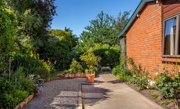 48a Cole Street Masterton_14