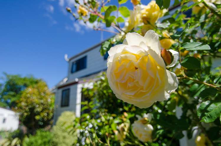 125 Upper Plain Road Masterton_19