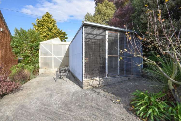 4d Edinburgh Street Green Island_26