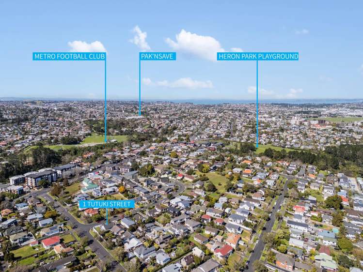 1 Tutuki Street Waterview_20