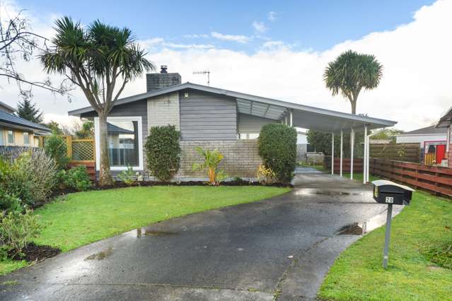 20 Anglesey Place Awapuni_1