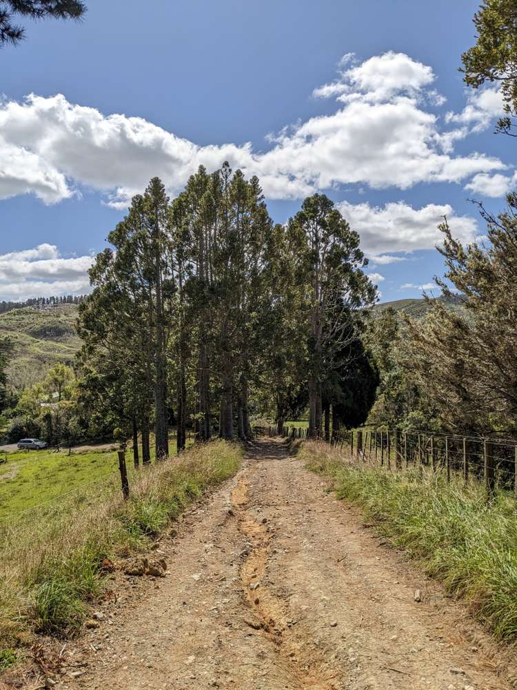 360 Burnside Road Makarau_21