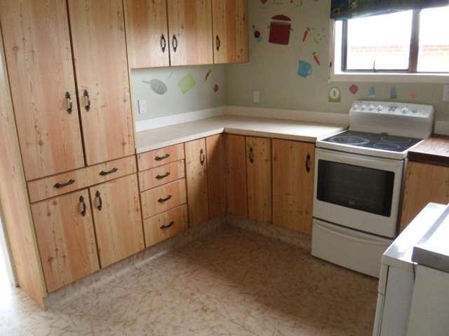 250 Clyde Street Balclutha_1