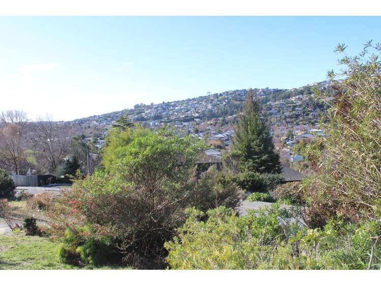 44 Holliss Avenue Cashmere_0