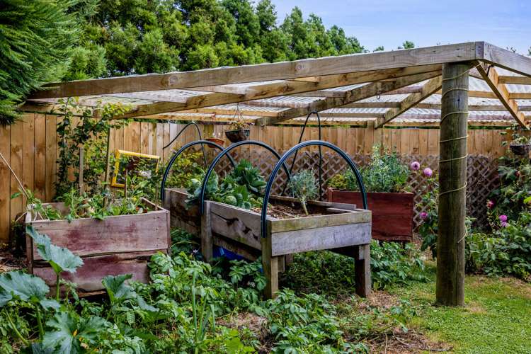 244 Maata Road Eltham_23