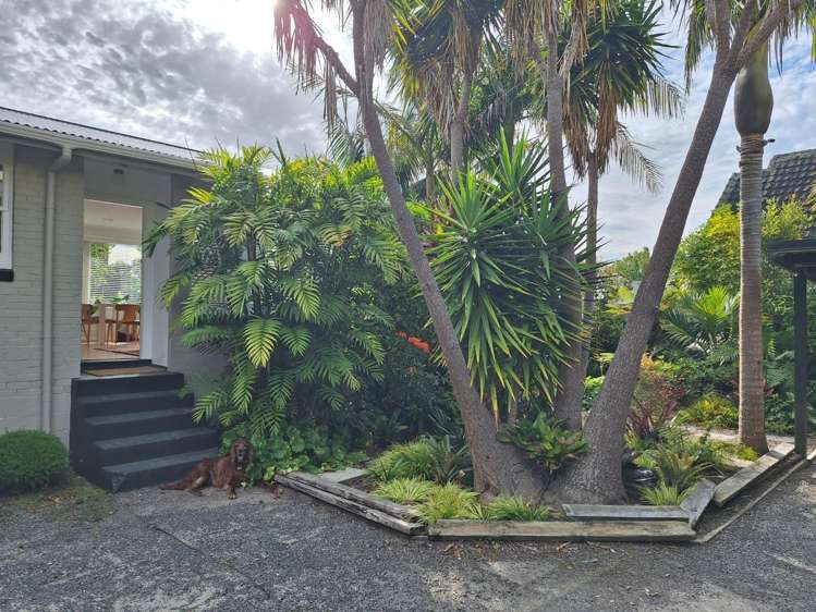 5/9 Wright Road Point Chevalier_11