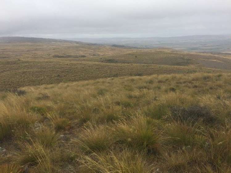 232 Ida Valley Back Road Oturehua_22