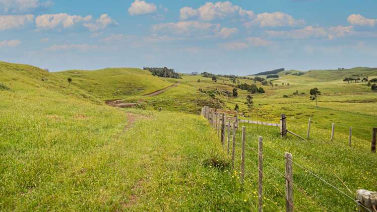 1131 Waikaretu Valley Road Waikaretu_8