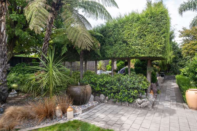 29 Cameron Road Bluff Hill_12