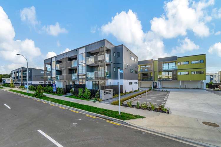 393 Ormiston Road Flat Bush_9
