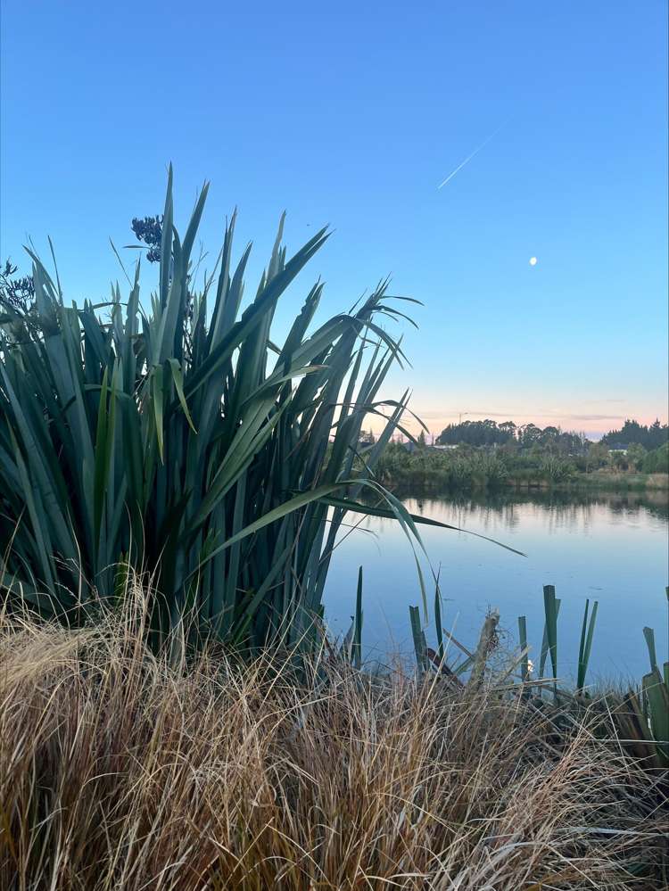 152 Metehau Street Marshland_16