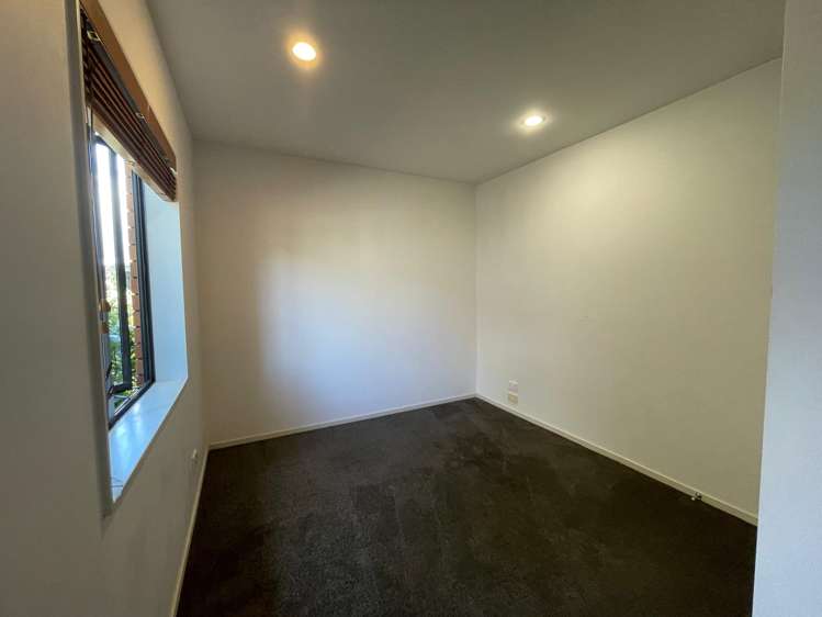 509A Hillsborough Road Mount Roskill_10