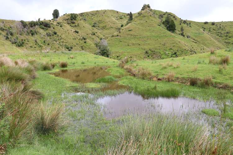 544 Mohakatino Road Mokau_14