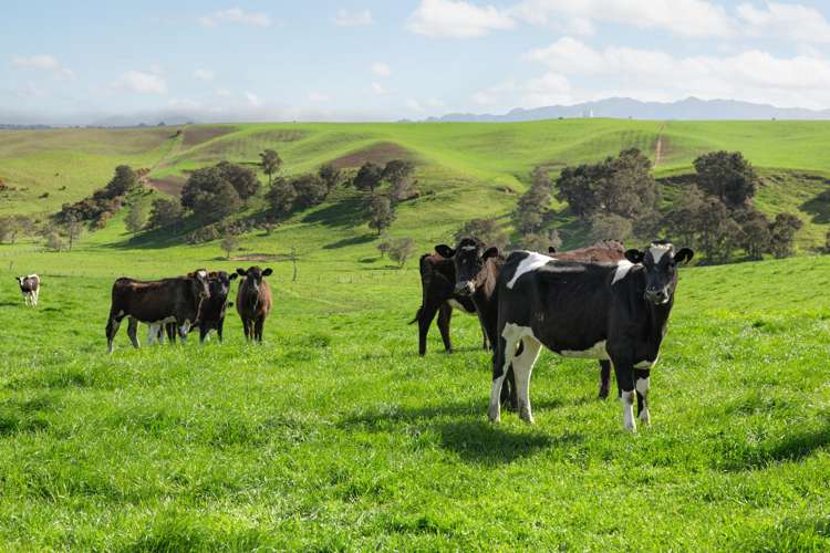 2048 State Highway 50 Ongaonga_20