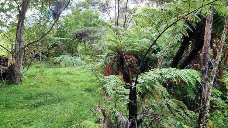 294 Foster Road Waimauku_13