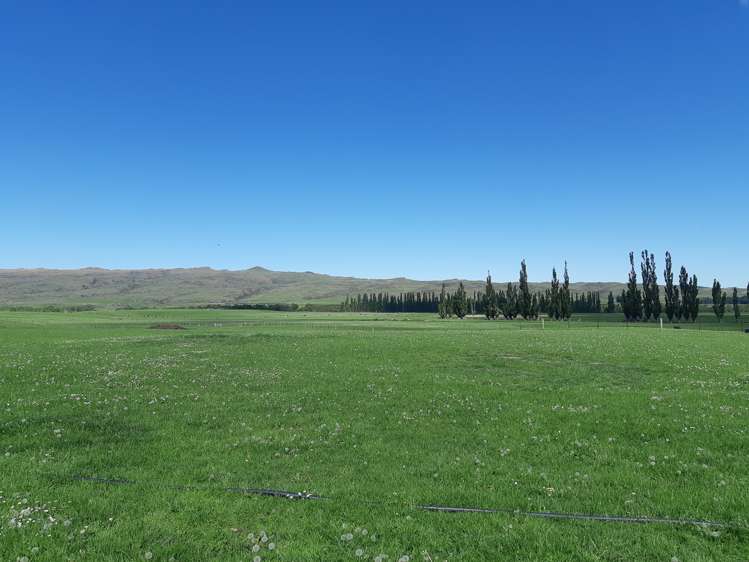 410 Ngapuna Road Middlemarch_17