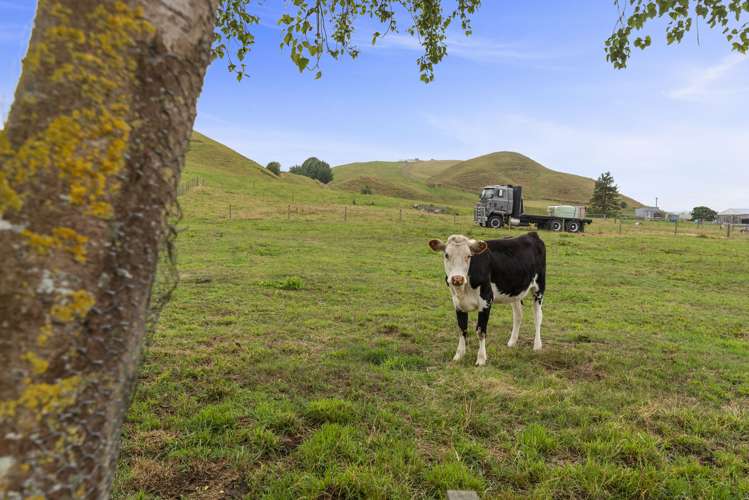 459 Whirinaki Valley Road Ngakuru_33