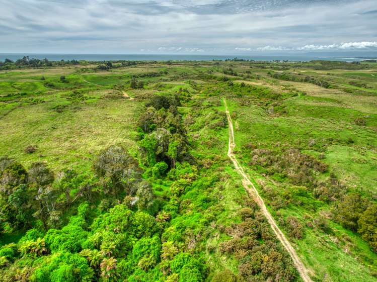 Tauranga Bay Road Cape Foulwind_8