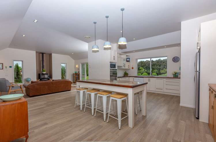 269 Bellevue Road Matangi_6