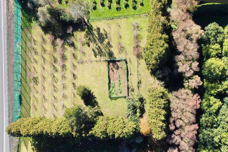 664 State Highway 2 Katikati_29