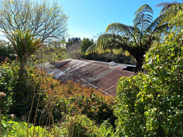 19A Rawhiti Street Vogeltown_12