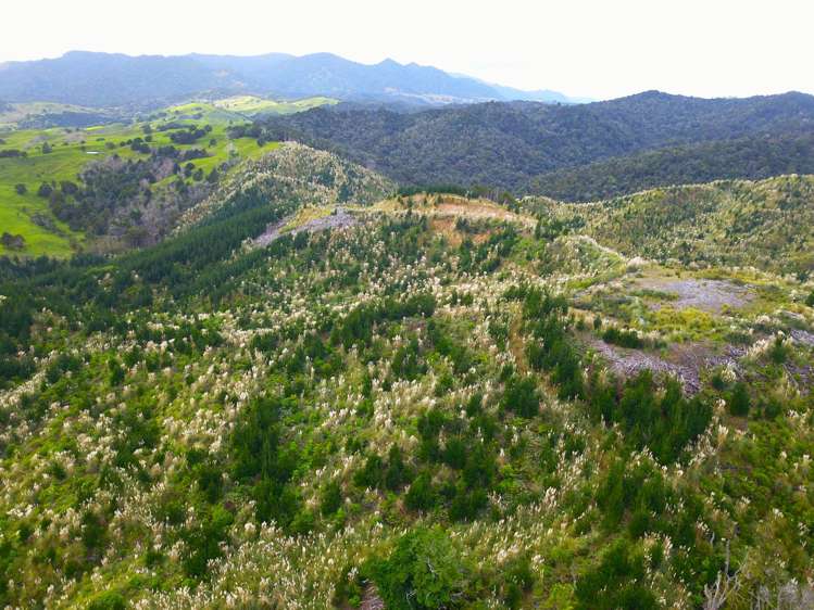 Lot 2 Waiotehue Road Broadwood_10