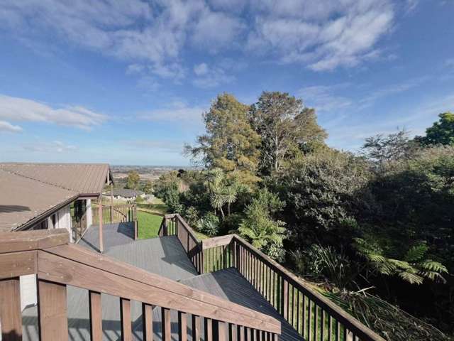 98 Harry Dreadon Road Opaheke_3