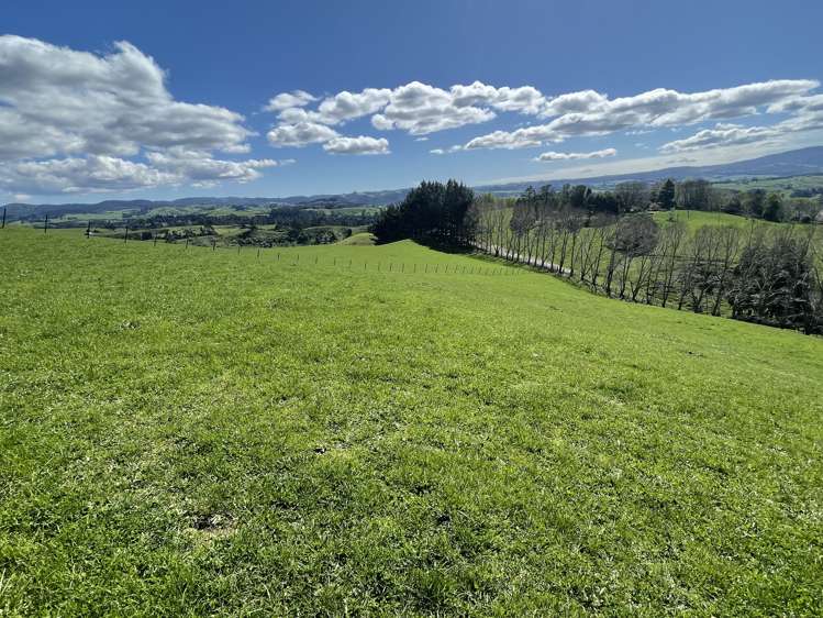 481 Honikiwi Road RD3 Otorohanga_18