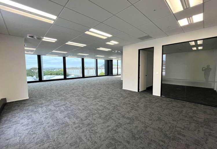 110 Carlton Gore Road Newmarket_7