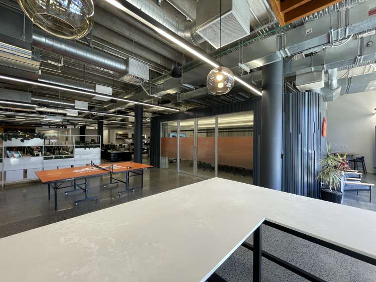 22 Pollen Street Grey Lynn_10