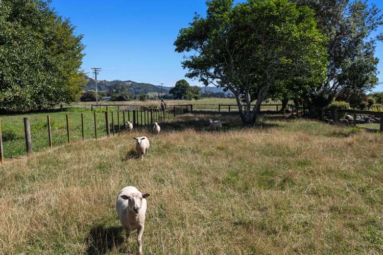 693 Otakiri Road Otakiri_20