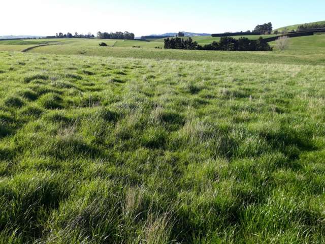 211 Whitstone-Five Forks Road Five Forks and Surrounds_4