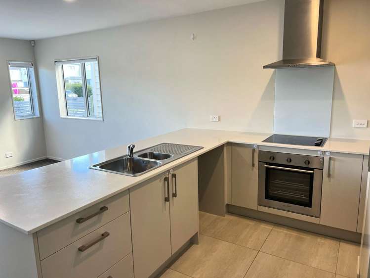 3 Tribute Loop Takanini_2