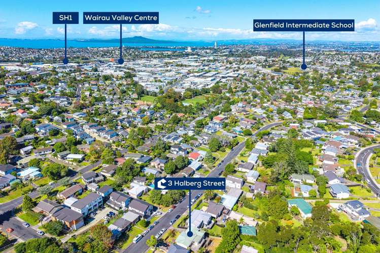 3 Halberg Street Glenfield_22