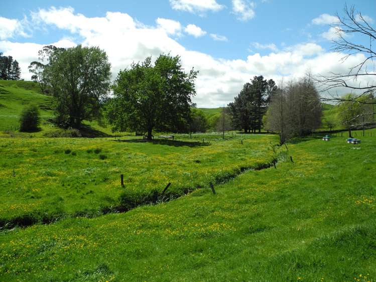 144 Honikiwi Road Otorohanga_6