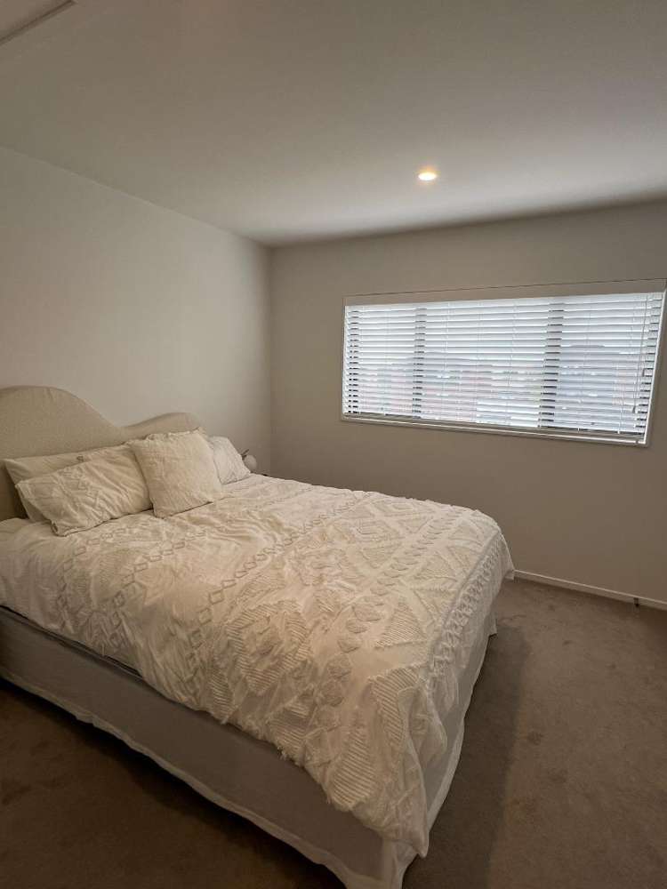 11 Treeline Lane Flat Bush_9