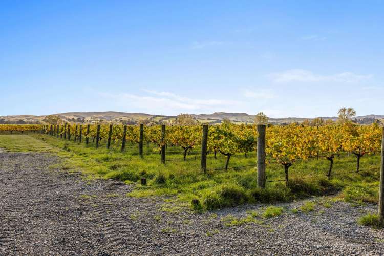 157 Church Road Waipara_28