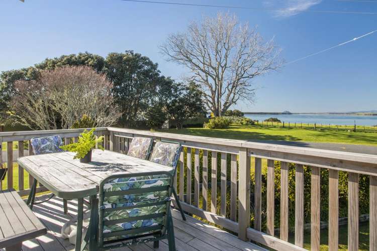 5 Princes Street Katikati_5