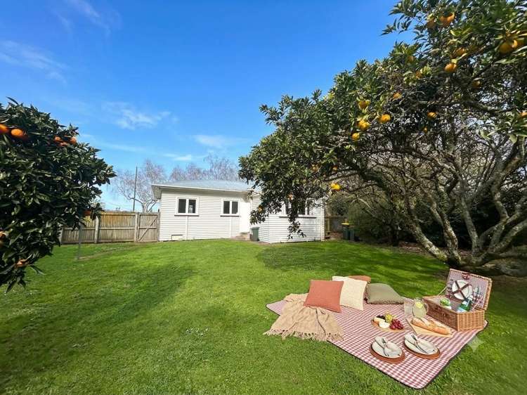 23 Mcnally Road Pukekohe_9