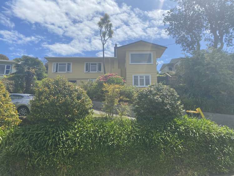 16 Thompson Terrace Toi Toi_1