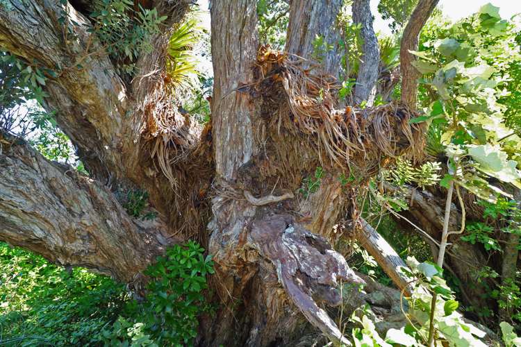 27 Boulder Bay Drive Tuateawa_12