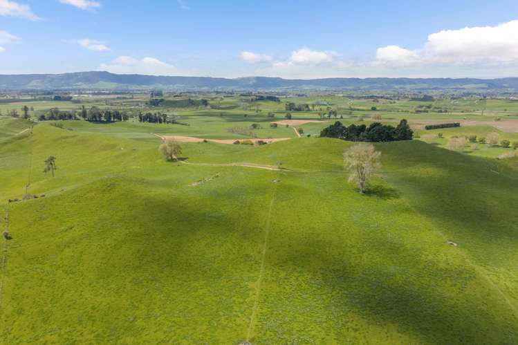 58 Nicholson Road Piarere_24