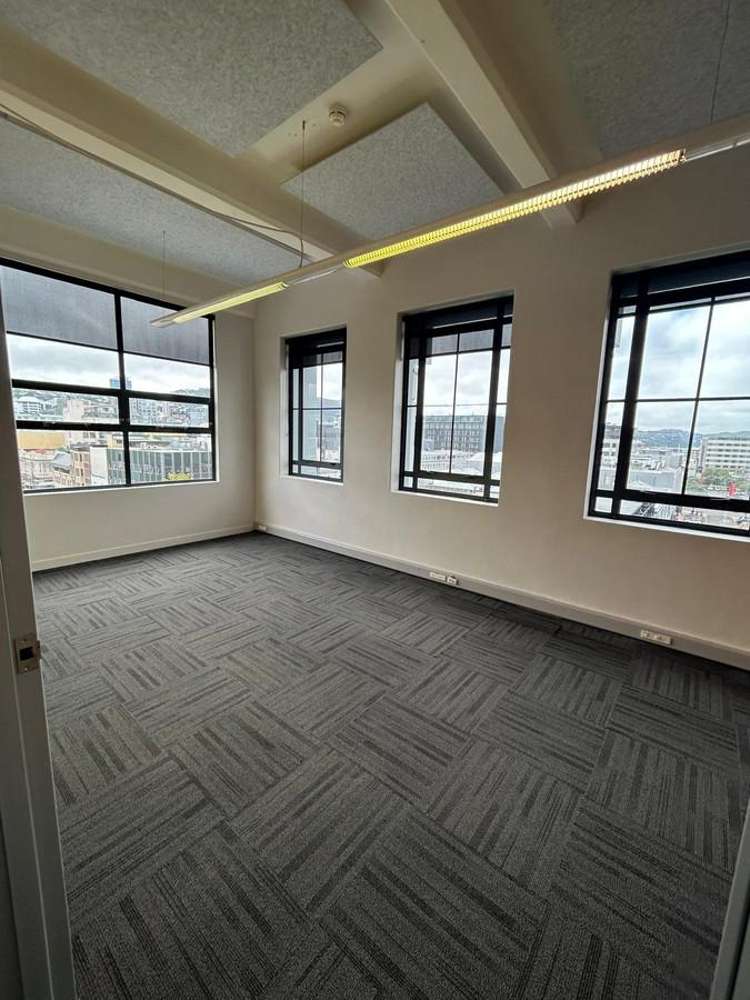 Level 5/15 Courtenay Place Te Aro_1