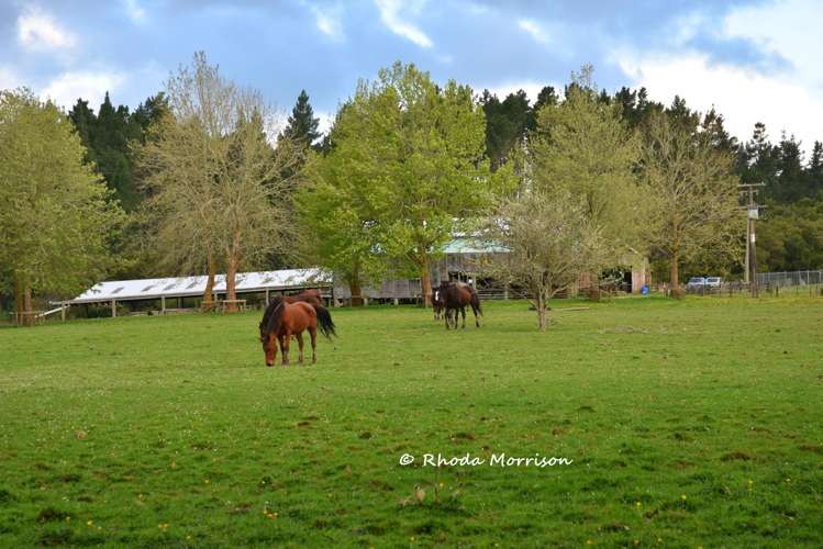 726 Paparoa Station Road Maungaturoto_12