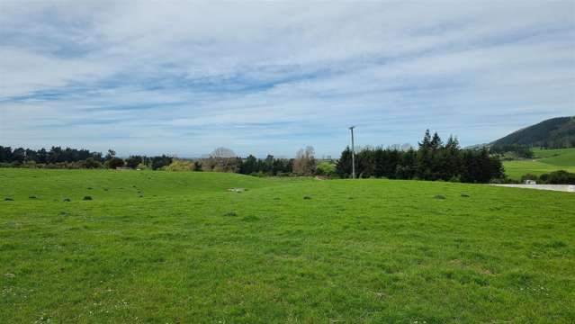 Mill Road Waimate_4