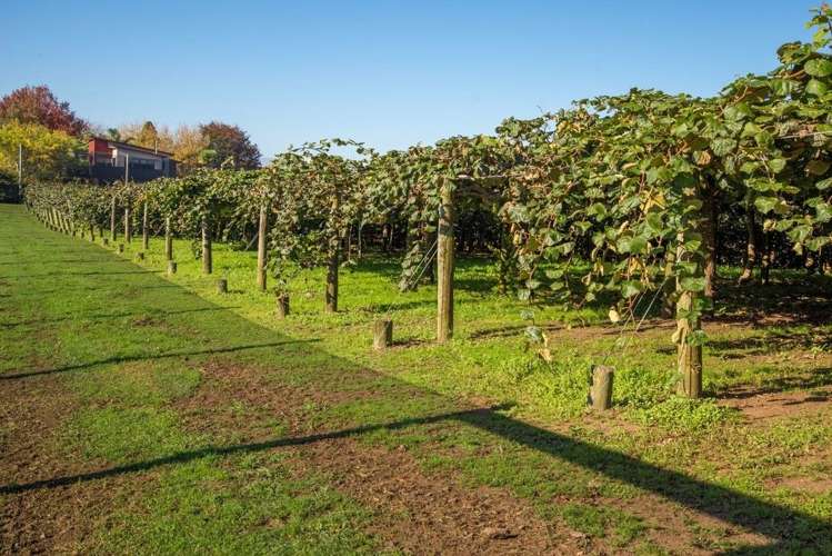 28 Lochhead Road Te Puna_7