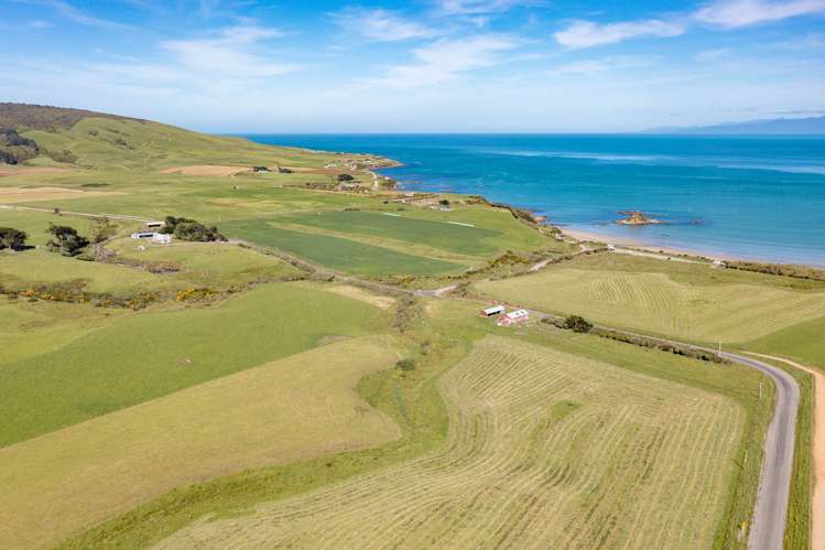 95 Frentz Road Pahia_34